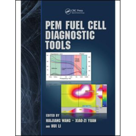 PEM Fuel Cell Diagnostic Tools