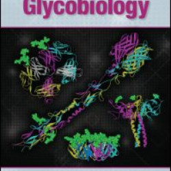 Structural Glycobiology