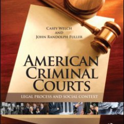 American Criminal Courts
