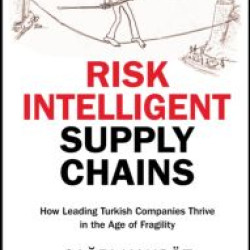 Risk Intelligent Supply Chains