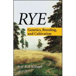 Rye