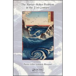 The Navier-Stokes Problem in the 21st Century The Navier-Stokes Problem in the 21st Century