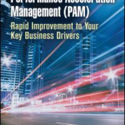 Performance Acceleration Management (PAM)