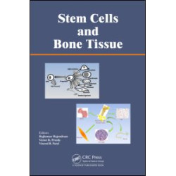 Stem Cells and Bone Tissue