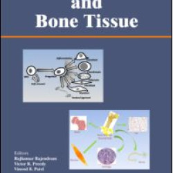 Stem Cells and Bone Tissue