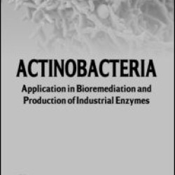 Actinobacteria Actinobacteria