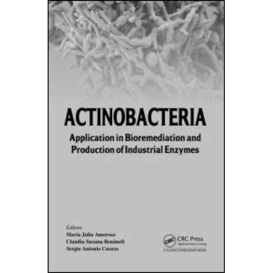 Actinobacteria Actinobacteria