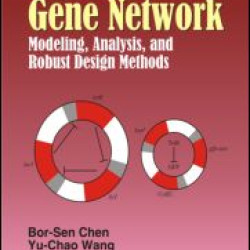 Synthetic Gene Network