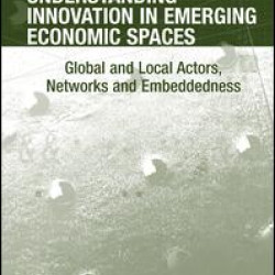 Understanding Innovation in Emerging Economic Spaces Understanding Innovation in Emerging Economic Spaces