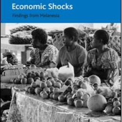 Household Vulnerability and Resilience to Economic Shocks