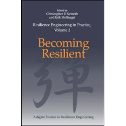Resilience Engineering in Practice, Volume 2