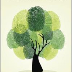 Knowledge Development in Transnational Projects