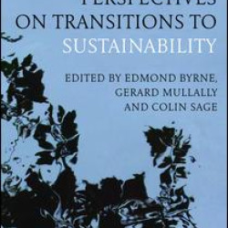 Transdisciplinary Perspectives on Transitions to Sustainability