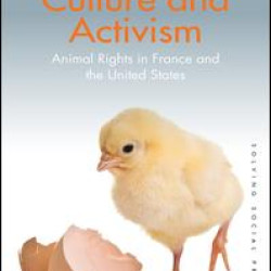 Culture and Activism Culture and Activism