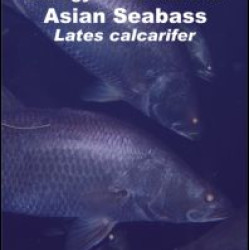 Biology and Culture of Asian Seabass Lates Calcarifer Biology and Culture of Asian Seabass Lates Calcarifer