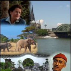 Comparing Environmental Policies in 16 Countries