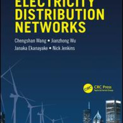 Smart Electricity Distribution Networks