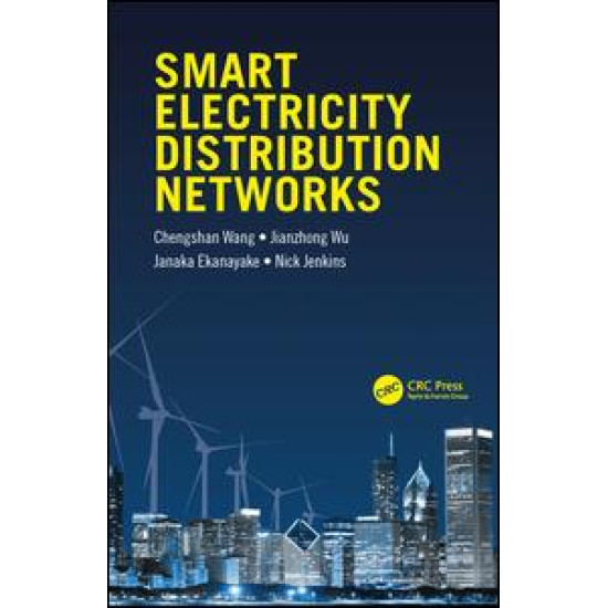 Smart Electricity Distribution Networks