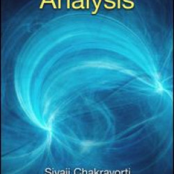 Electric Field Analysis