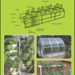 Hydroponics for the Home Grower