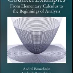 CounterExamples CounterExamples