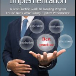 Directing the ERP Implementation Directing the ERP Implementation