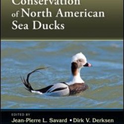 Ecology and Conservation of North American Sea Ducks Ecology and Conservation of North American Sea Ducks