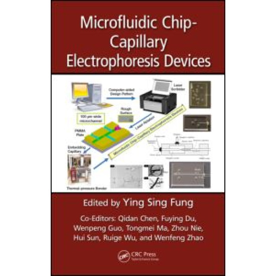 Microfluidic Chip-Capillary Electrophoresis Devices Microfluidic Chip-Capillary Electrophoresis Devices