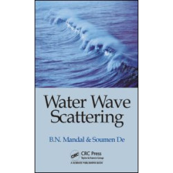 Water Wave Scattering Water Wave Scattering