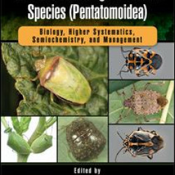 Invasive Stink Bugs and Related Species (Pentatomoidea)
