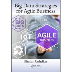 Big Data Strategies for Agile Business