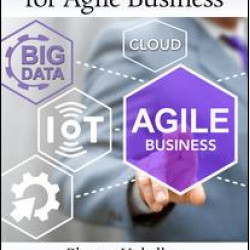 Big Data Strategies for Agile Business Big Data Strategies for Agile Business