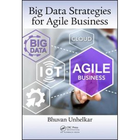 Big Data Strategies for Agile Business