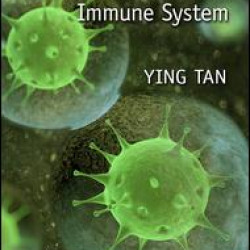 Anti-Spam Techniques Based on Artificial Immune System Anti-Spam Techniques Based on Artificial Immune System