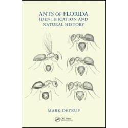 Ants of Florida Ants of Florida
