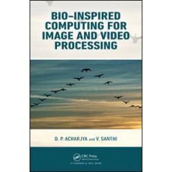 Bio-Inspired Computing for Image and Video Processing