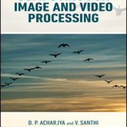 Bio-Inspired Computing for Image and Video Processing Bio-Inspired Computing for Image and Video Processing