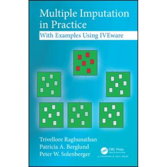 Multiple Imputation in Practice Multiple Imputation in Practice