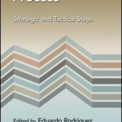 The Analytics Process