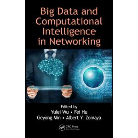 Big Data and Computational Intelligence in Networking