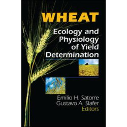 Wheat Wheat