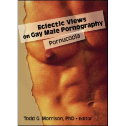 Eclectic Views on Gay Male Pornography Eclectic Views on Gay Male Pornography
