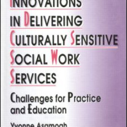 Innovations in Delivering Culturally Sensitive Social Work Services