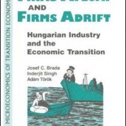 Firms Afloat and Firms Adrift: Hungarian Industry and Economic Transition Firms Afloat and Firms Adrift: Hungarian Industry and Economic Transition