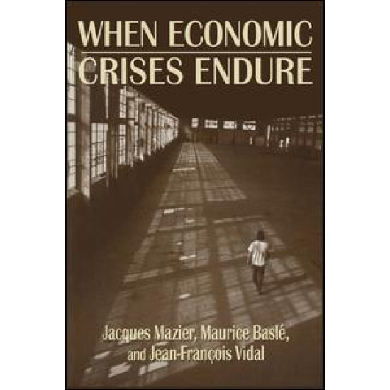When Economic Crises Endure