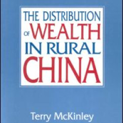 The Distribution of Wealth in Rural China The Distribution of Wealth in Rural China
