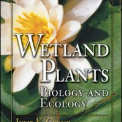 Wetland Plants