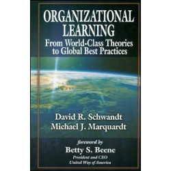 Organizational Learning Organizational Learning