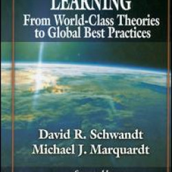 Organizational Learning