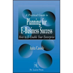 A Practical Guide to Planning for E-Business Success